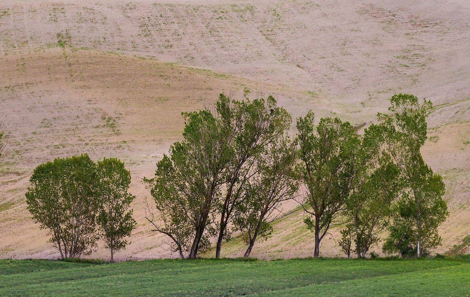 Автор: suk eun kim , suk eun kim