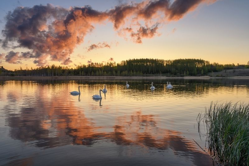 Городищенское озероphoto preview