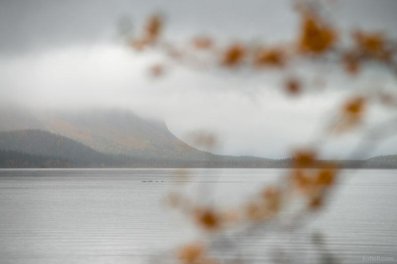 ловозерские тундры, осень, заполярье, кольский полуостров, сейдозеро Сейдозеро импрессионизмаphoto preview