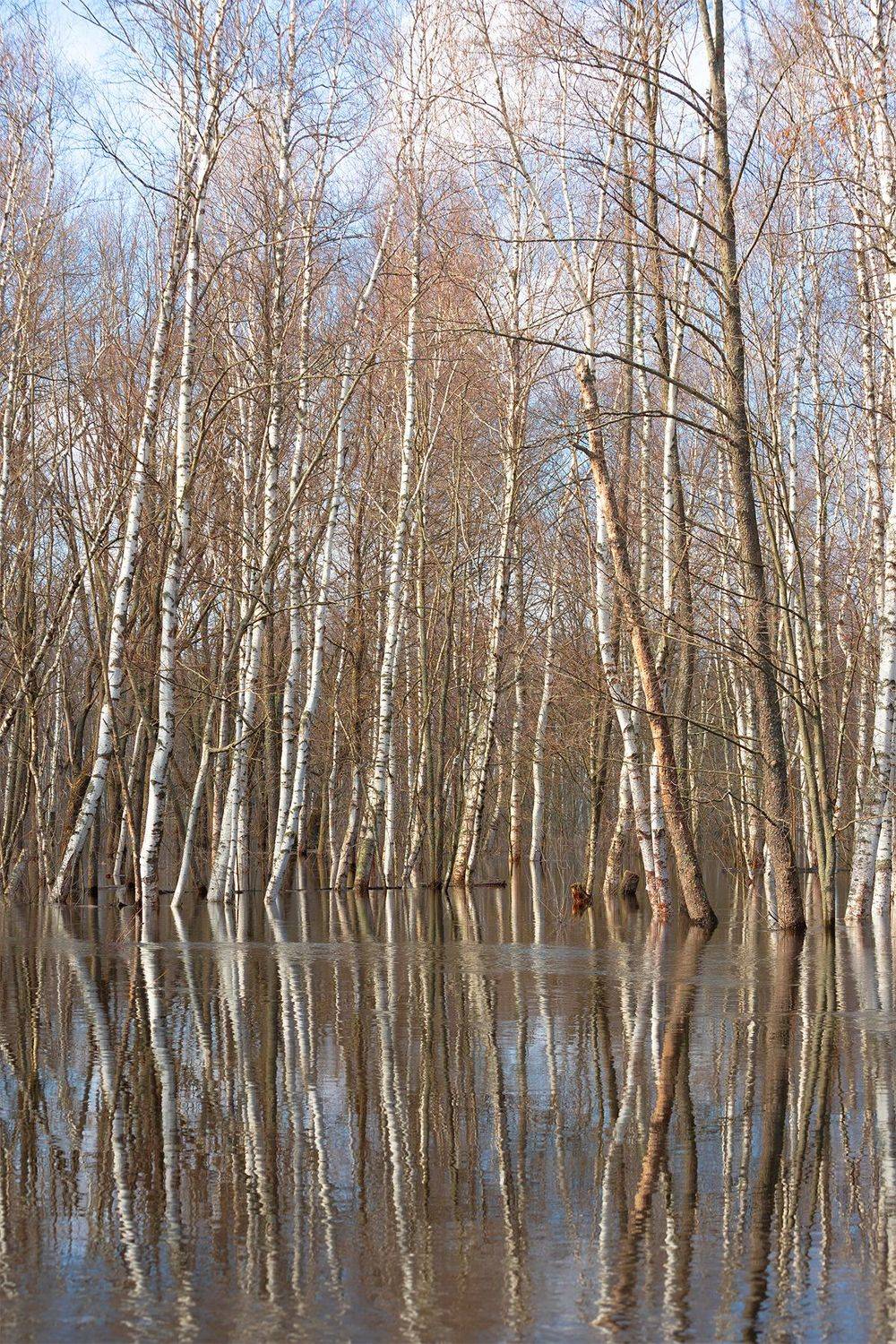 , Чудинин Дмитрий