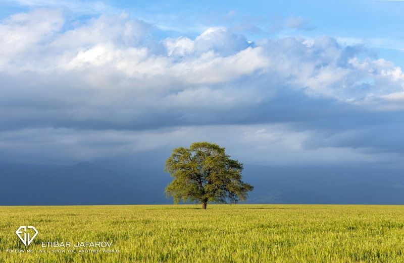 Исмаиллы (Азербайджан)photo preview