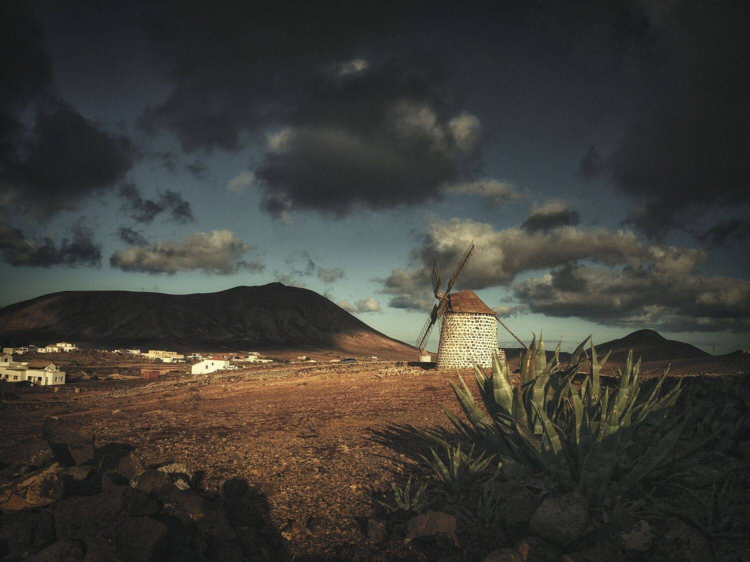 windmill. Автор: Vasilev Kris , Vasilev Kris