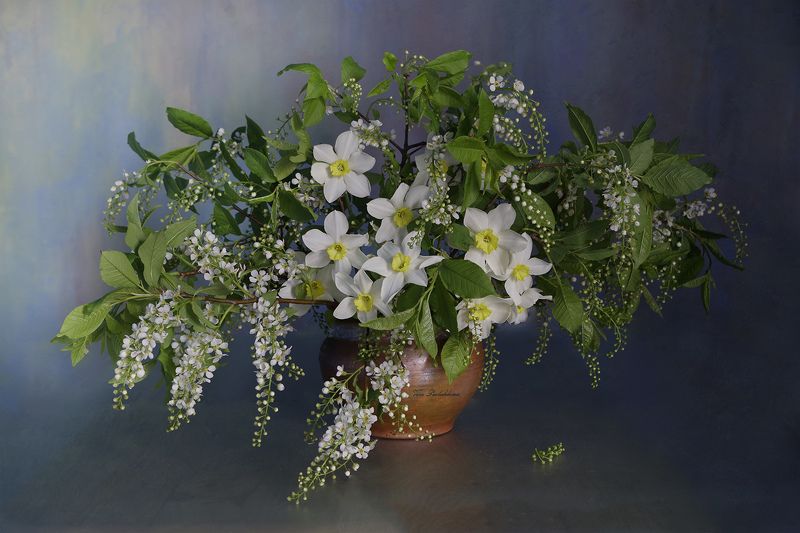 С черемухой и нарциссамиphoto preview