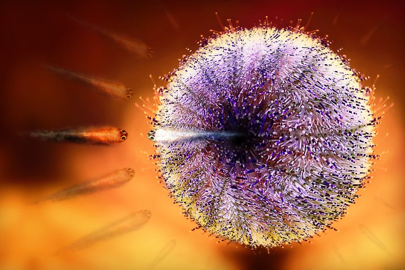 creative, креатив, манипуляция, концепция, избранный, цифровое, искусство, digital, art, chosen, elected, only, one Единственный...photo preview