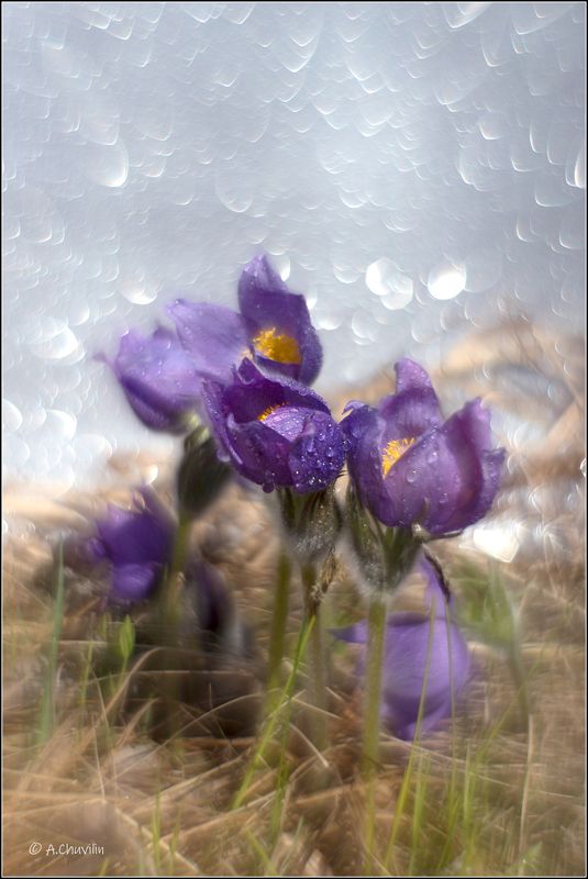 Сон 2photo preview