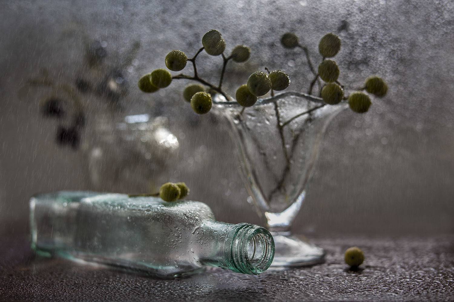 , Виктория Солодар