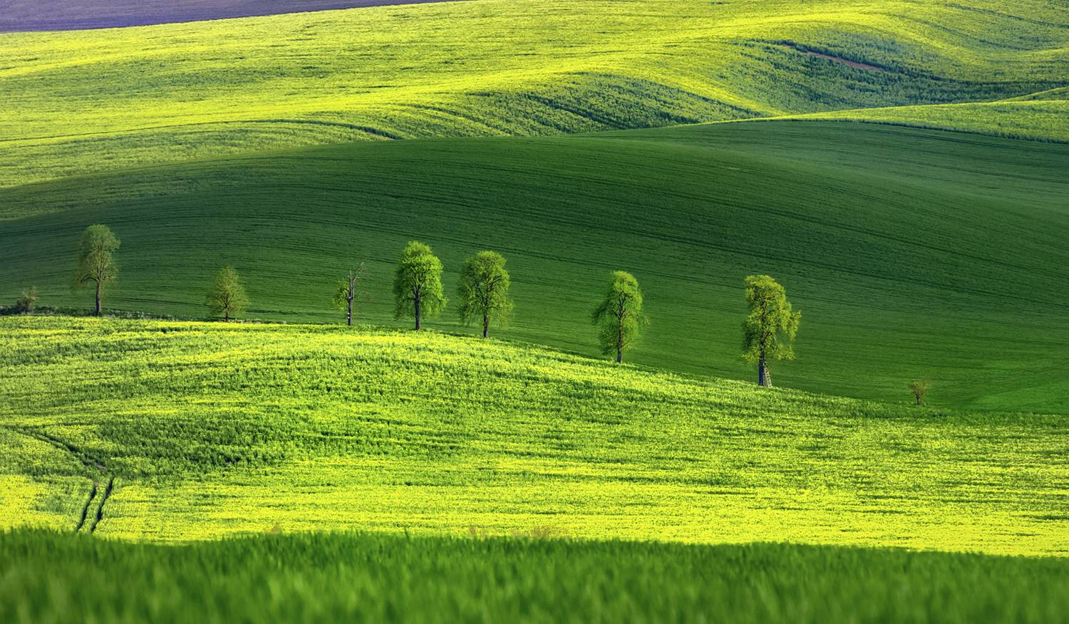 side by side. Автор: suk eun kim , suk eun kim