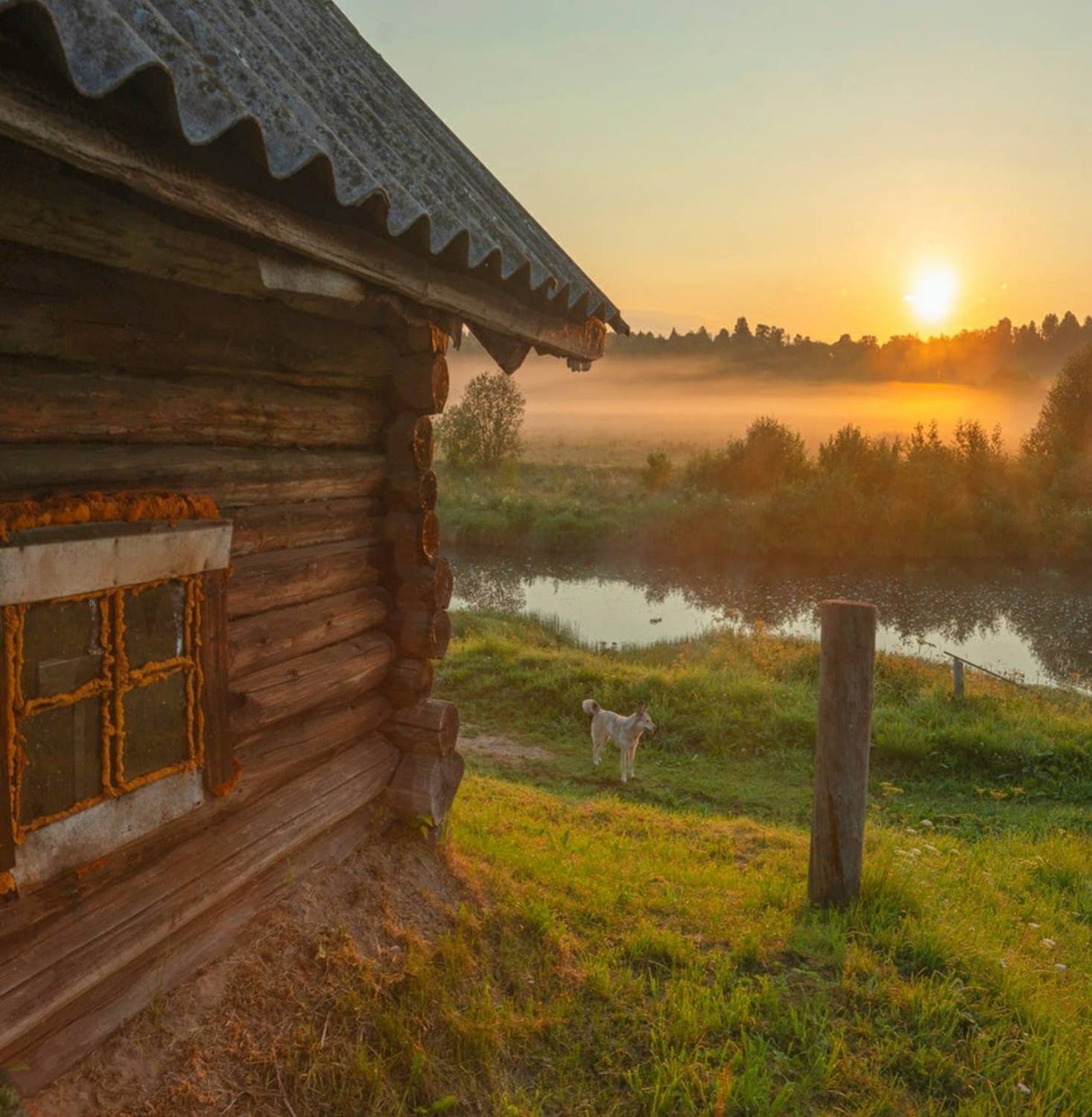 , Петр Косых