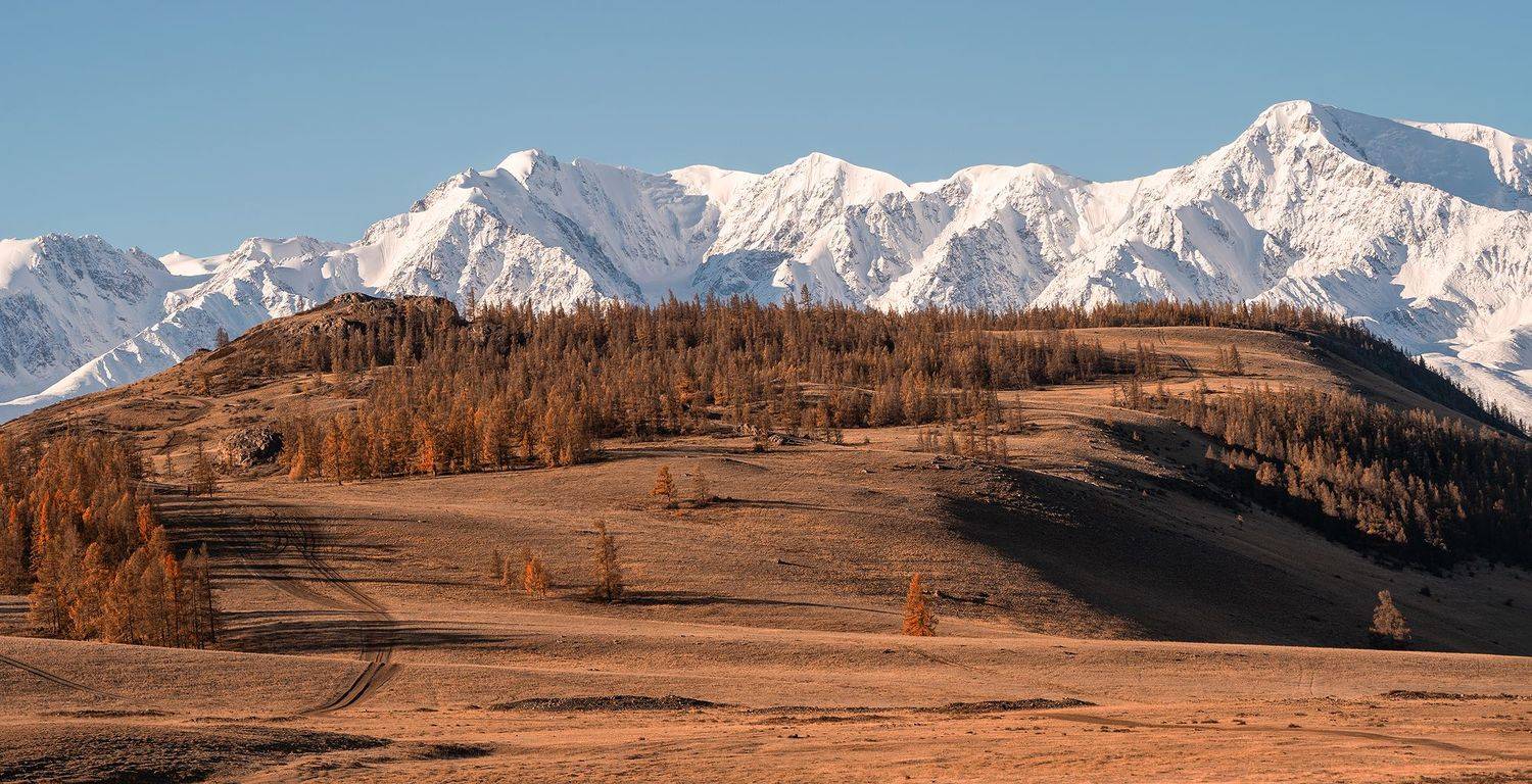 пейзаж,природа,горы, Алтай, Россия,осень, Лариса Дука