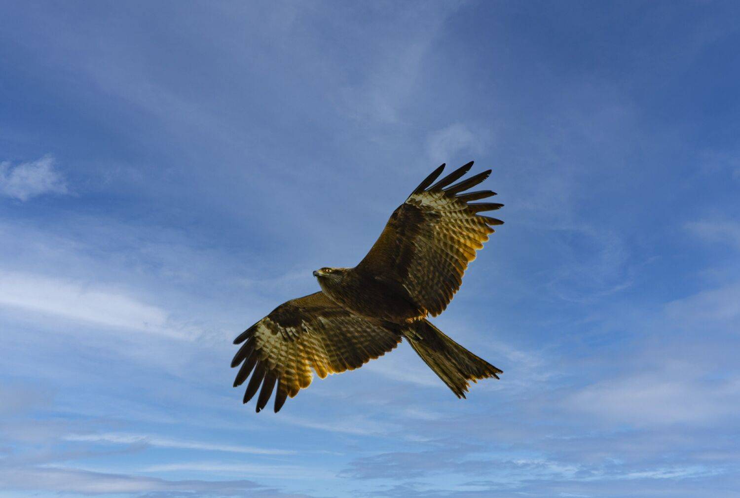 , Ольга Лукахина