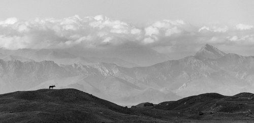 На поляне Ачик-Таш