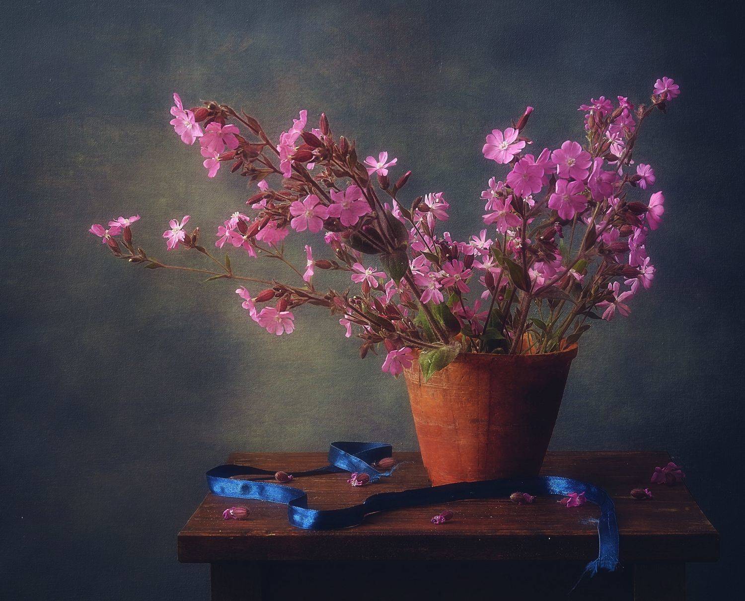 смолевка.... Автор: Наталия К натюрморт,цветы,букет,лето,смолевка, Наталия К