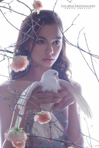 Dove