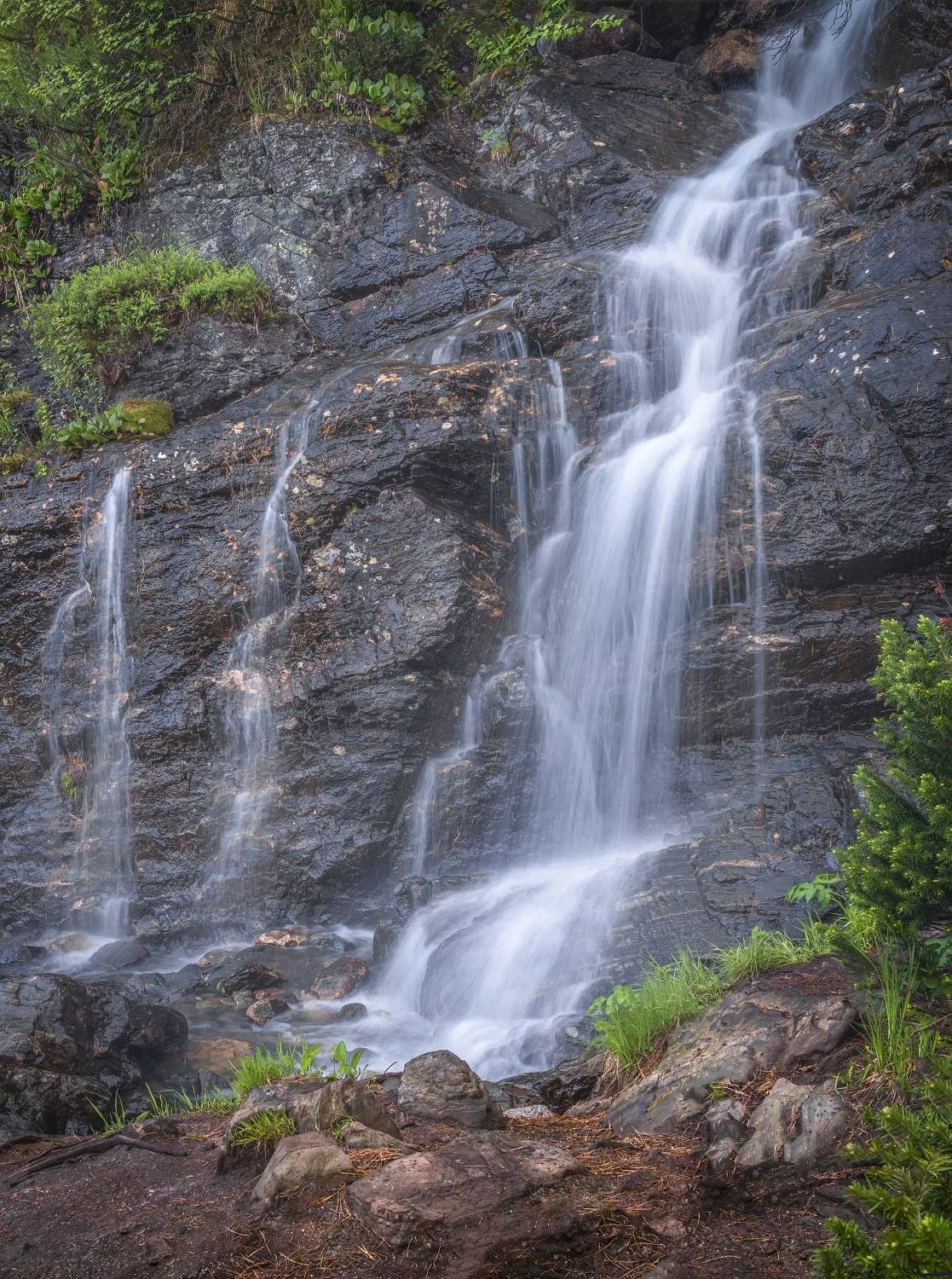 Горная прохлада. Автор: Анатолич , Анатолич