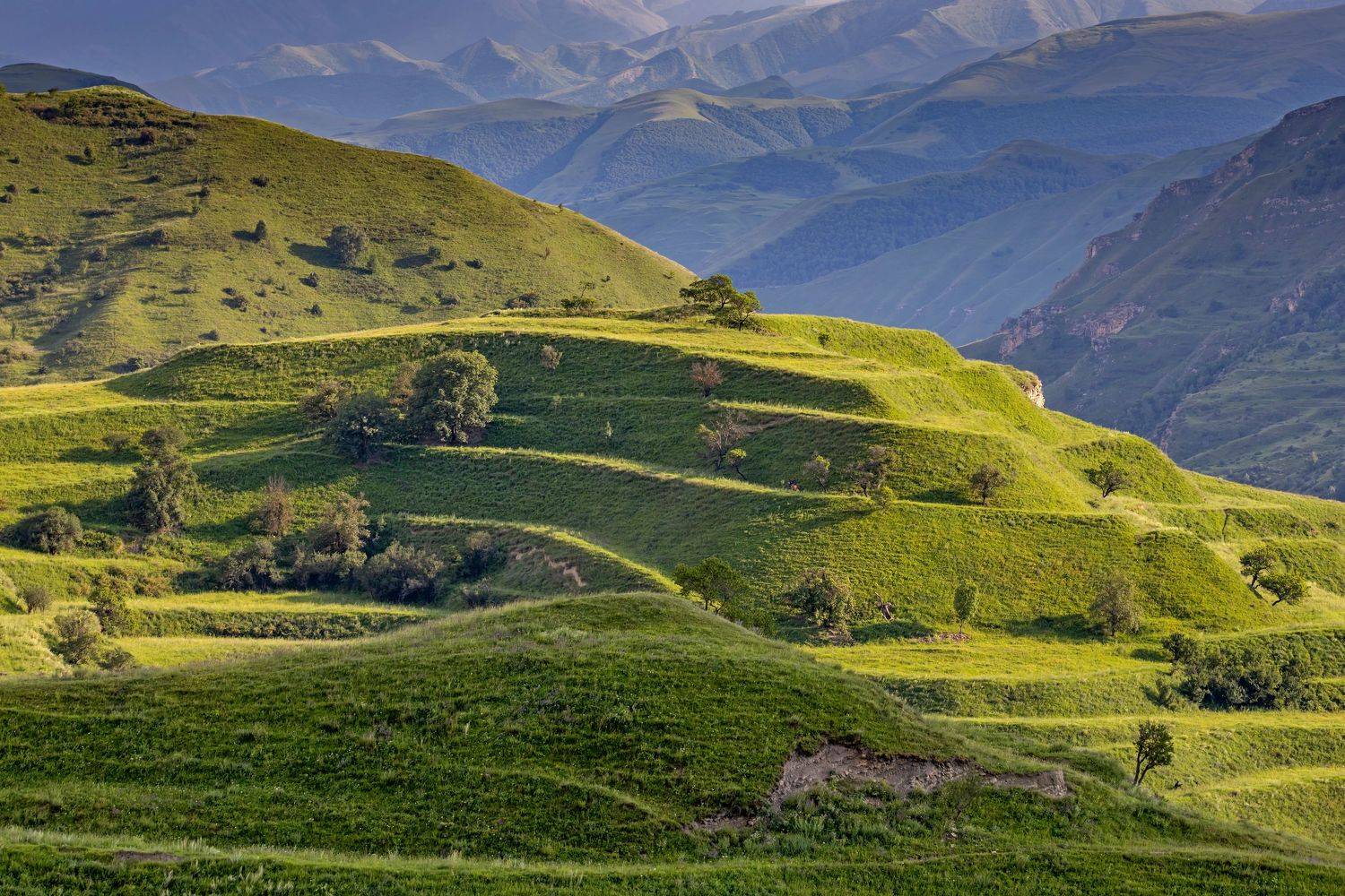 Чохские террасы. Автор: Подосинников Максим дагестан, горный дагестан, чох, чохские террасы, природа, ландшафт, Подосинников Максим