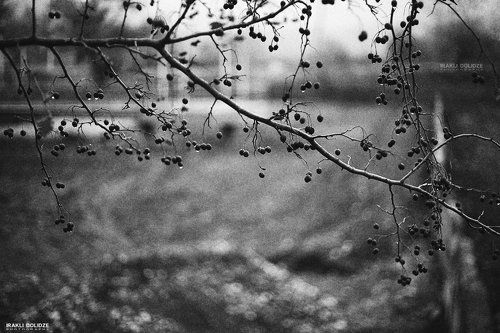 Rainny Day