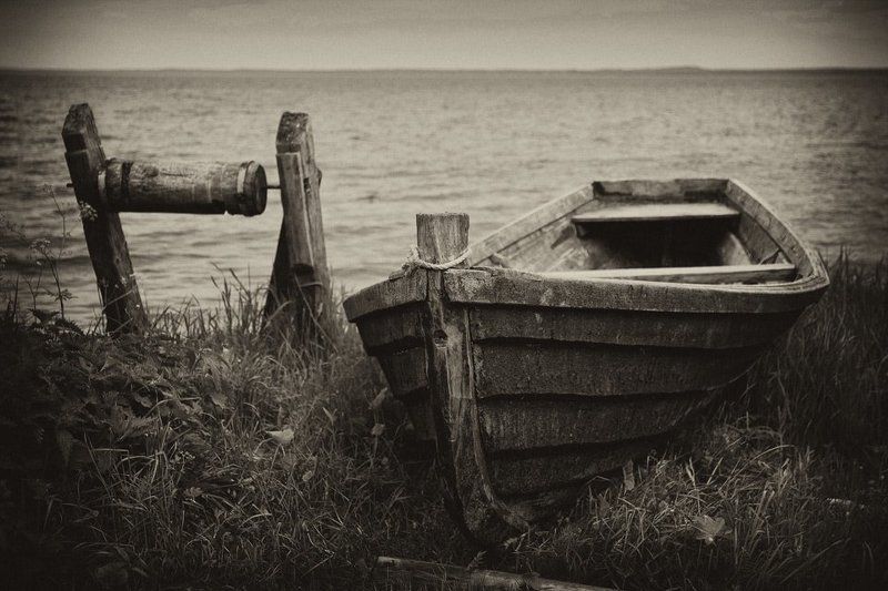 Мы родом из моряphoto preview