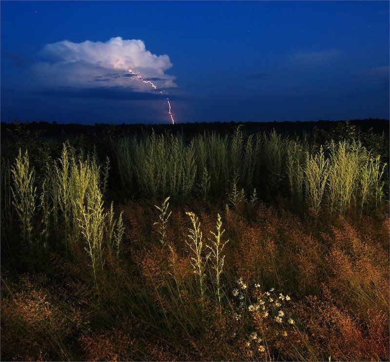 Сверкает...photo preview