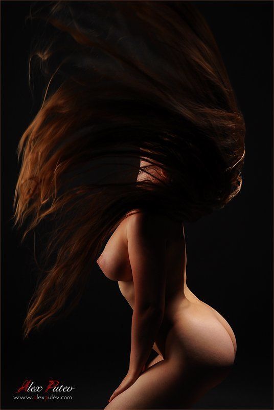 махагон,красное дерево,динамика,взмах,студия,портфолио,свет,тень Махагонphoto preview