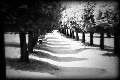 Старый парк