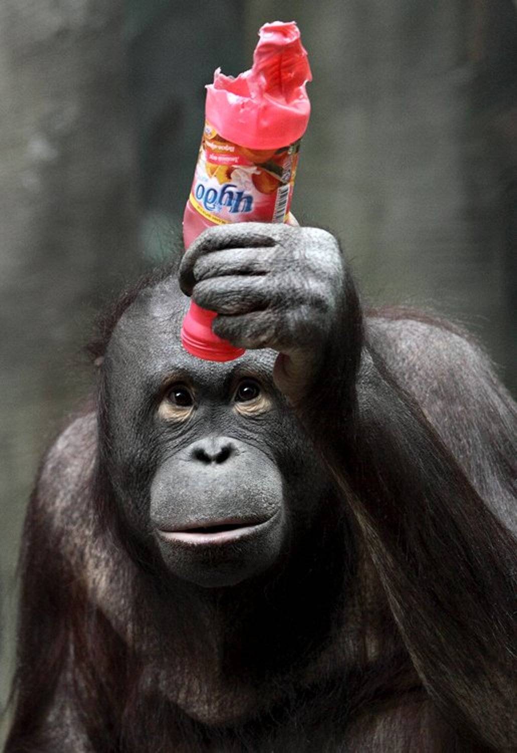 И где ж ты, чудо?. Автор: teamS , teamS