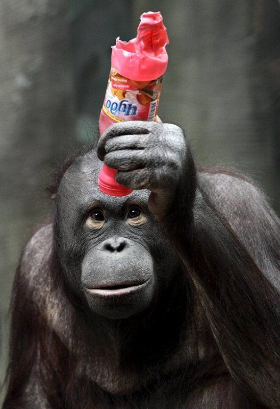 И где ж ты, чудо?photo preview