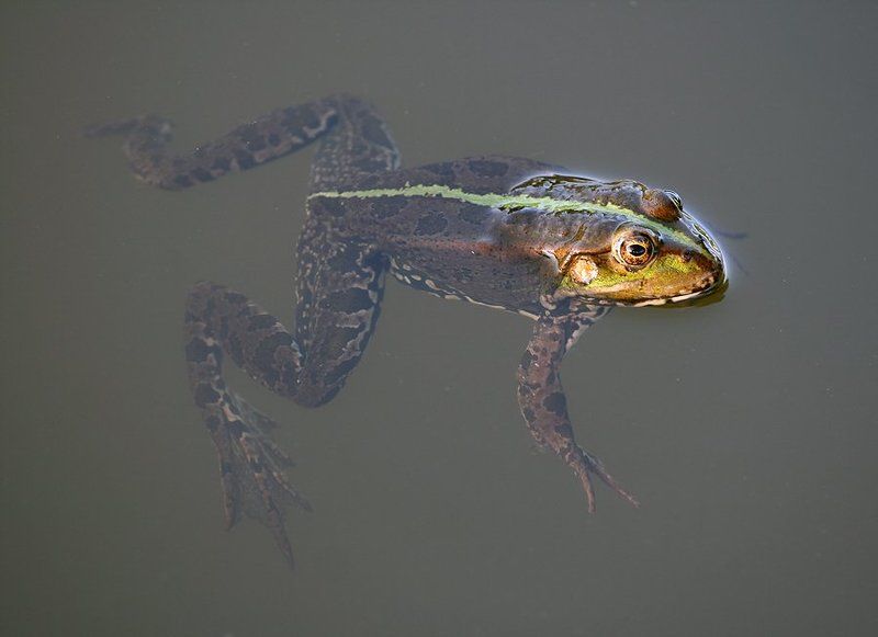 У каждого своя светлая полосаphoto preview