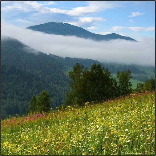 Медовые луга Камлака