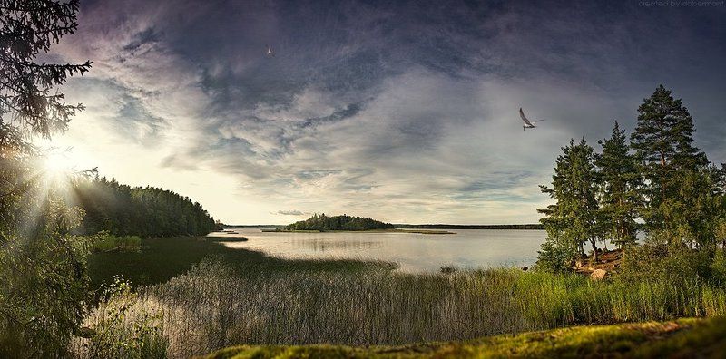 выборг, монрепо, закат, вода, камни, чайка, гранит, финский залив, doberman Сказка про Монрепоphoto preview