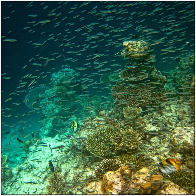 Мелочьphoto preview