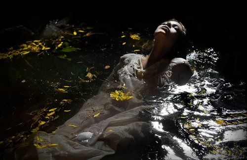 where The Wild Roses Grow