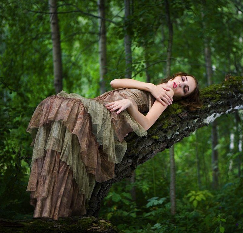 repost * философия леса *photo preview