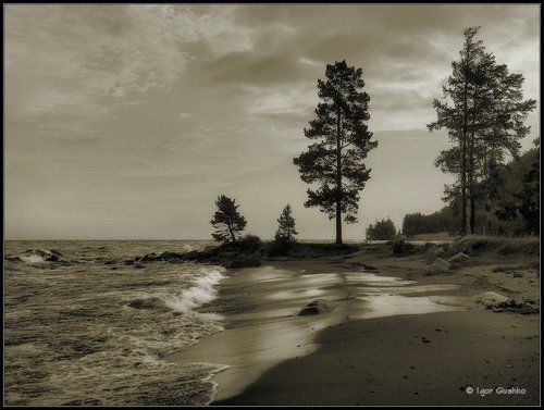 Лаская берега