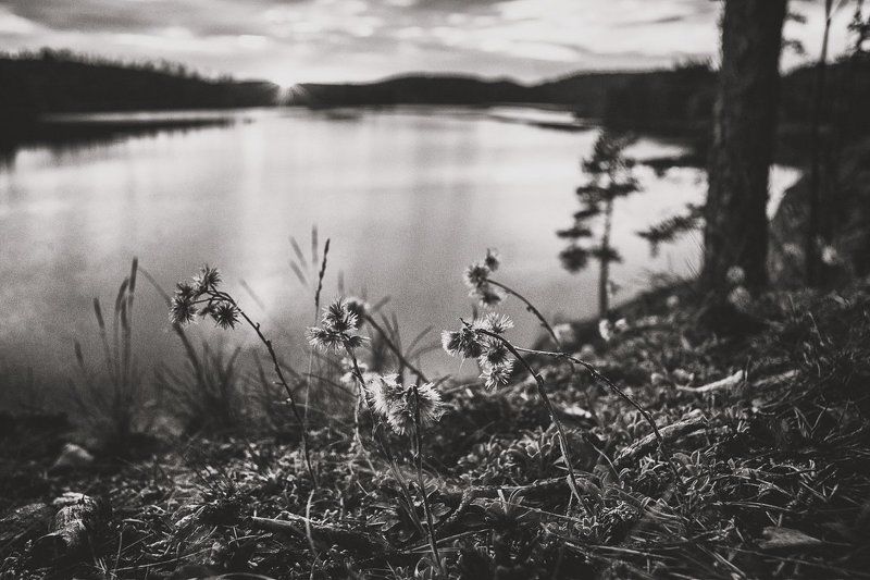 Портфолиоphoto preview