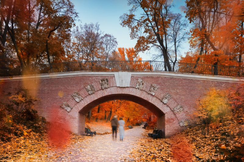 осень, мостик Осень в нескучном садуphoto preview