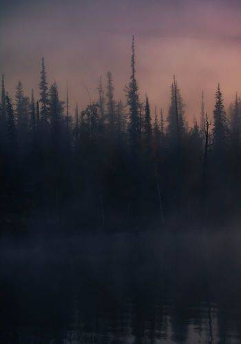 Арктические сумерки