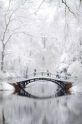  Bridge