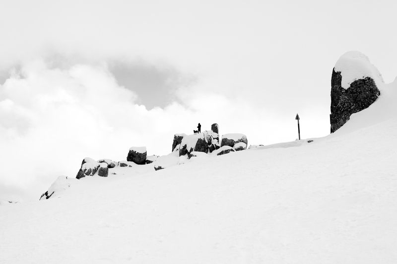 Друзяphoto preview