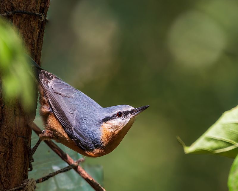 ямщик Про ямщикаphoto preview