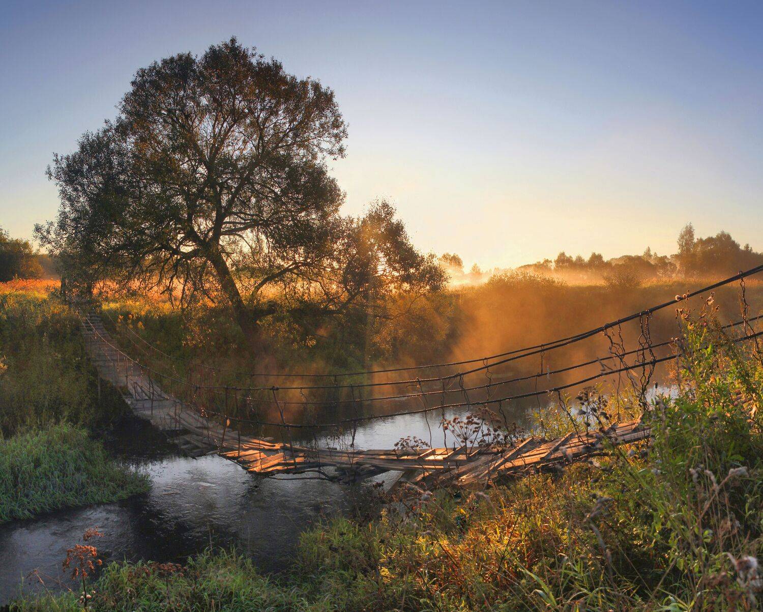 ****. Автор: Александр Свистков река, мостик, туман, рассвет, Александр Свистков