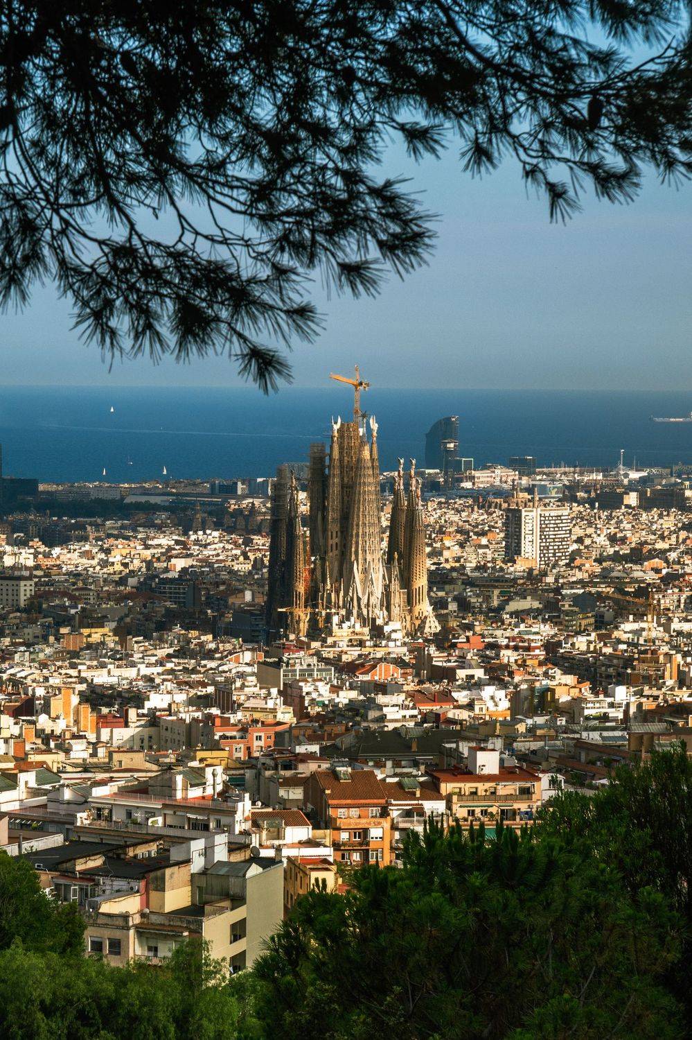 Автор: Druz Denys , Druz Denys