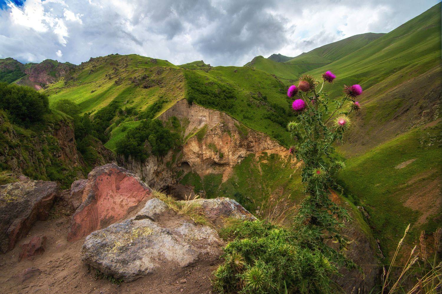 , Николай Колобов