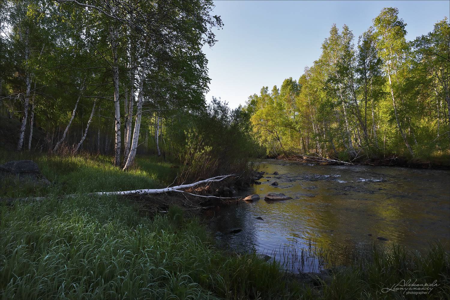 забайкальский край, Александр Леснянский
