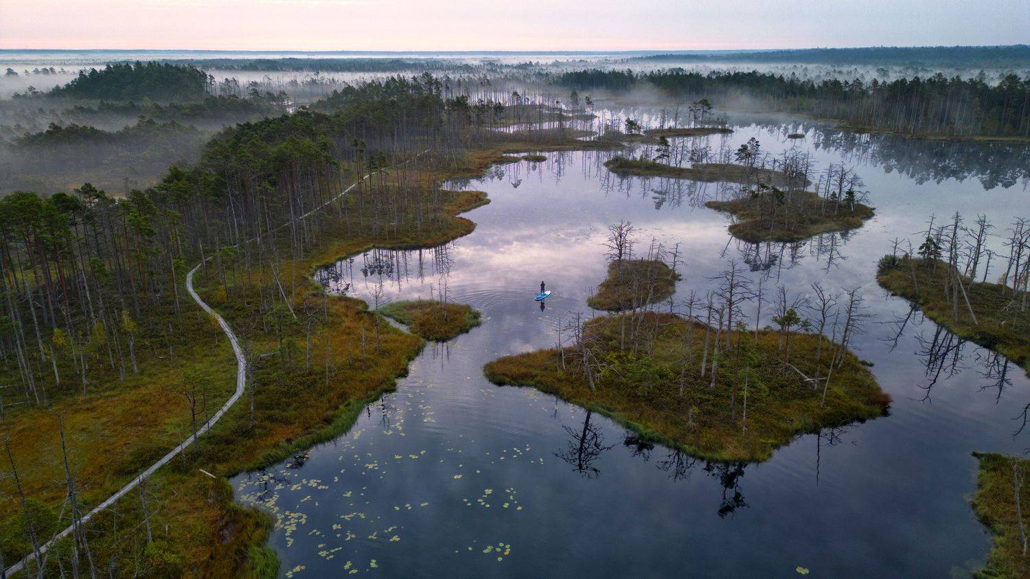 ***. Автор: Edgars Gerskovics , Edgars Gerskovics