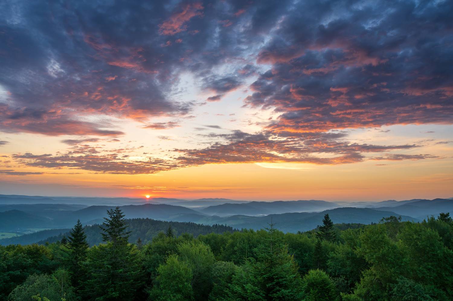 Автор: Mirosław Pruchnicki , Mirosław Pruchnicki
