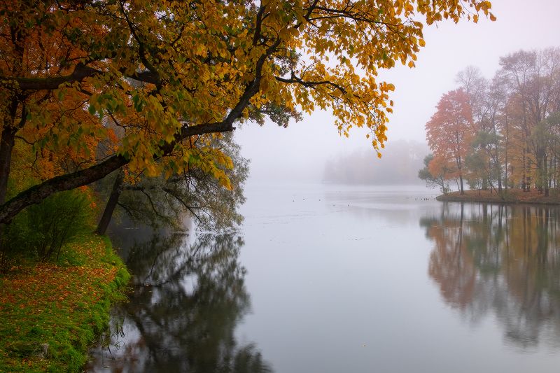 царское, село, пушкин, осень, екатерининский, парк ... где-то в парковом тумане...photo preview