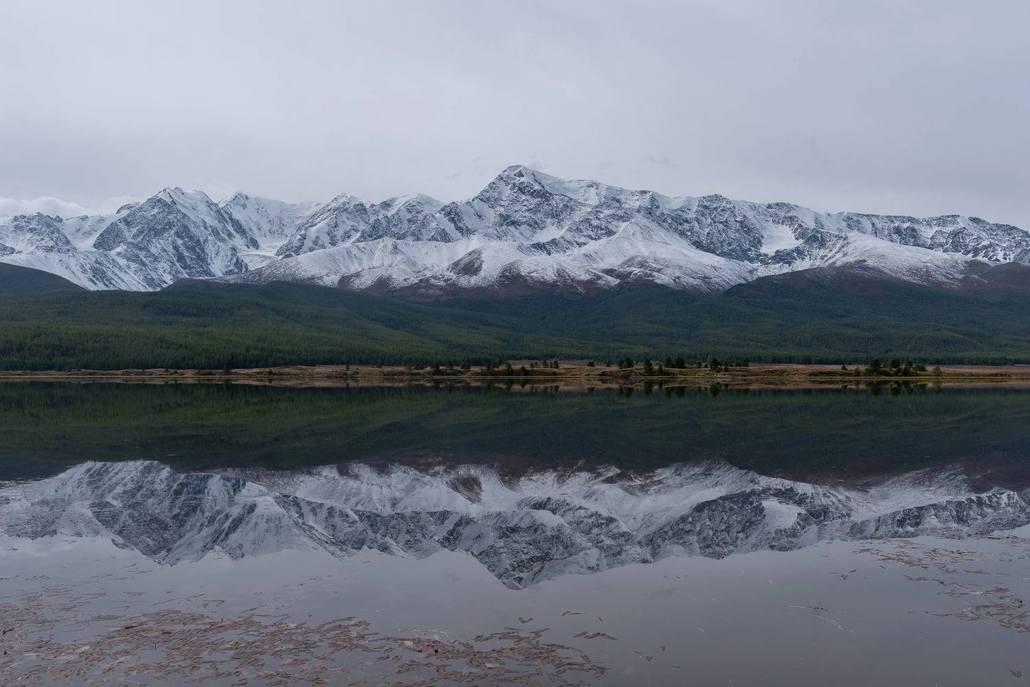 , Ватрушкин Максим