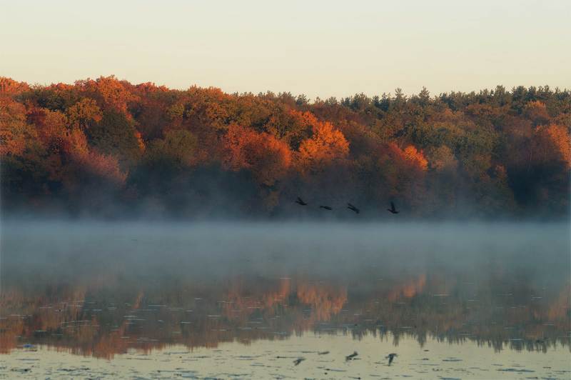 Утром у рекиphoto preview