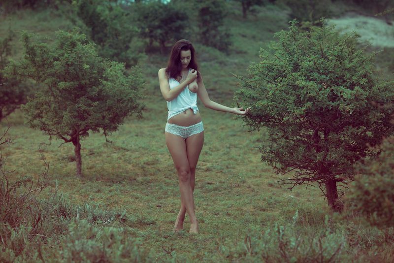 Morningphoto preview