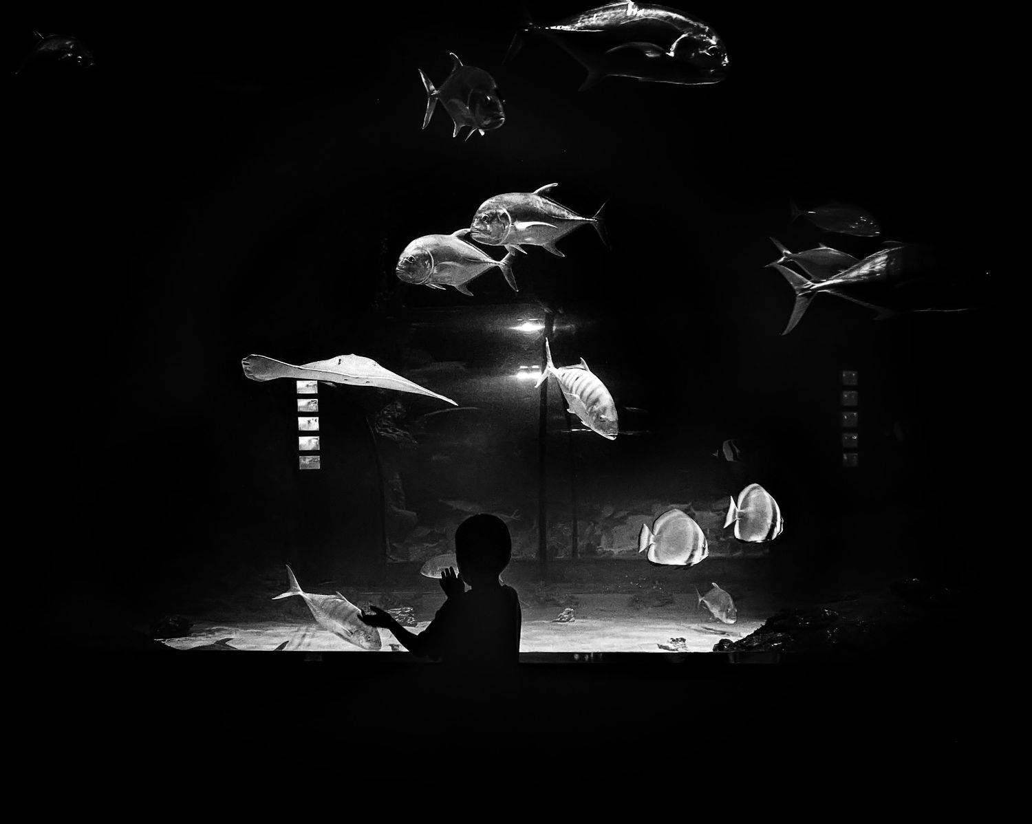 Мечтами о море.... Автор: Наталья Новикова , Наталья Новикова